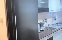 Apartament de inchiriat, cu 2 camere, 54 mp, zona Garii 