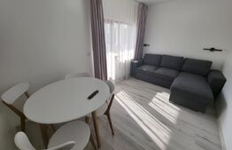 Apartament 2 camere, 40 mp, zonă centrală