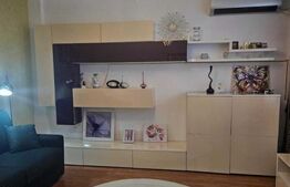 Apartament de inchiriat, cu 1 camera, 43 mp  zoma Tatarasi – Complex Penta