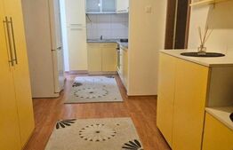 Apartament de inchiriat, cu 1 camera, 43 mp  zoma Tatarasi – Complex Penta