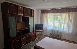 Apartament de inchiriat, cu 1 camera, 40 mp, zona Tatarasi Sud