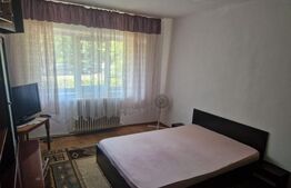 Apartament de inchiriat, cu 1 camera, 40 mp, zona Tatarasi Sud