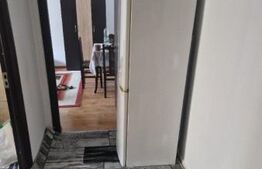 Apartament de inchiriat, cu 1 camera, 40 mp, zona Tatarasi Sud