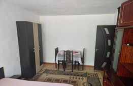 Apartament de inchiriat, cu 1 camera, 40 mp, zona Tatarasi Sud
