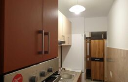 Apartament de inchiriat, cu 1 camera, zona Aurel Vlaicu