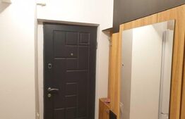 Apartament de inchiriat, cu 1 camera, zona Aurel Vlaicu