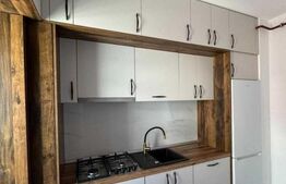 Apartament de inchiriat, cu 1 cameră, 40 mp, zona Nicolina