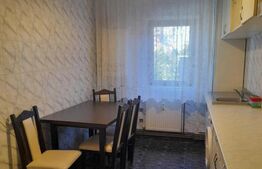 Apartament de inchirat cu 2 camere, 50 mp, zona Pacurari