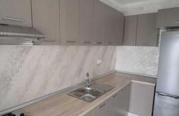 Apartament 2 camere-Millenium Pacurari