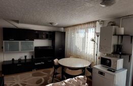 Apartament 3 camere langa Parcul Tatarasi