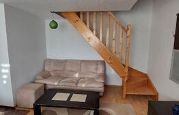 Apartament 3 camere langa Parcul Tatarasi