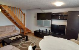 Apartament 3 camere langa Parcul Tatarasi