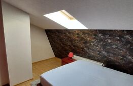 Apartament 3 camere langa Parcul Tatarasi