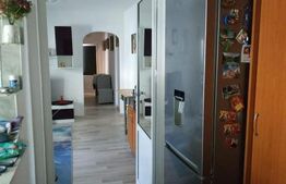 Apartament de inchiriat, cu 3 camere, semidecomandat, zona Podu Roș 