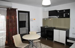 Garsonieră de închiriat, 35 mp, zona Palas 