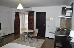 Garsonieră de închiriat, 35 mp, zona Palas 