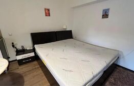 Garsonieră de închiriat, 35 mp, zona Palas 