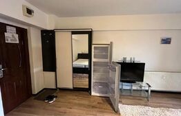 Garsonieră de închiriat, 35 mp, zona Palas 