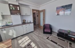 Apartament 2 camere de închiriat  | Lângă Parcul Copou |