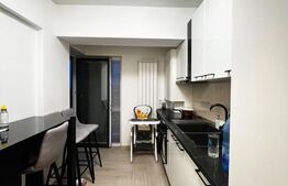 Apartament cu 2 camere, 55 mp,  Evergreen Towers Tătărași