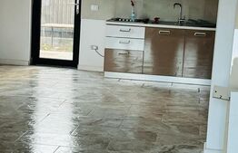 Casa moderna, aproape de Europeana