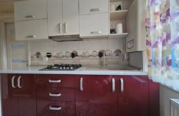 Apartament de inchiriat, cu 2 camere, zona Iulius Mall