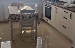 Apartament de inchiriat, cu 2 camere, 50mp, zona Valea Lupului 