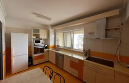  Apartament de inchiriat, cu 2 camere, zona Complex Dream Village, pet friendly