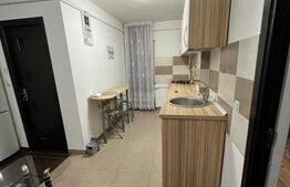  Apartament de inchiriat, cu 1 camera, zona LIDL Tatarasi