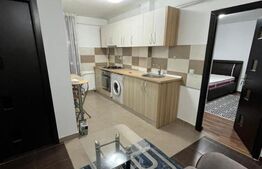  Apartament de inchiriat, cu 1 camera, zona LIDL Tatarasi