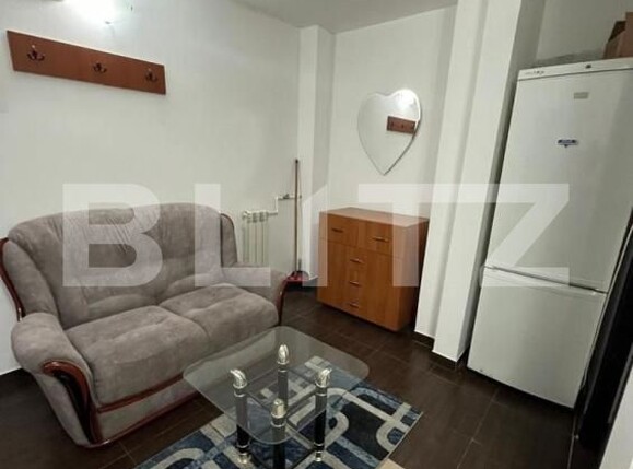 Garsonieră de închiriat Tatarasi - 177437AI | BLITZ Iași | Poza3