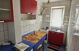 Apartament 2 camere de închiriat | Podu Roș | Mobilat & Renovat