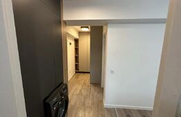 Apartament de inchiriat cu 1 camera - pet friendly, zona Complex Freya Home