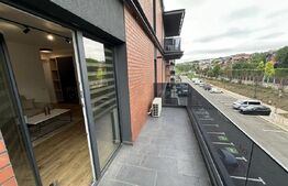 Apartament de inchiriat cu 1 camera - pet friendly, zona Complex Freya Home