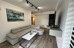 Apartament de inchiriat cu 1 camera - pet friendly, zona Complex Freya Home