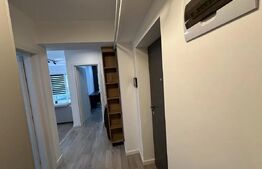 Apartament de inchiriat cu 1 camera - pet friendly, zona Complex Freya Home