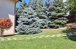 Proprietate elegantă cu teren mare și garaj în Bucium, perfectă pentru familie