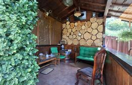 Proprietate elegantă cu teren mare și garaj în Bucium, perfectă pentru familie