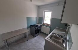 Apartament 1 camera, 36 mp, zona gara 