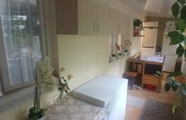 Apartament 2 camere zona Alexandru cel Bun 