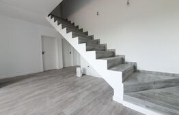 Casa P+M,100 MP,Hlincea,Teren 310 MP.