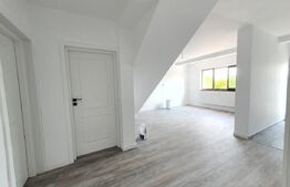 Casa P+M,100 MP,Hlincea,Teren 310 MP.