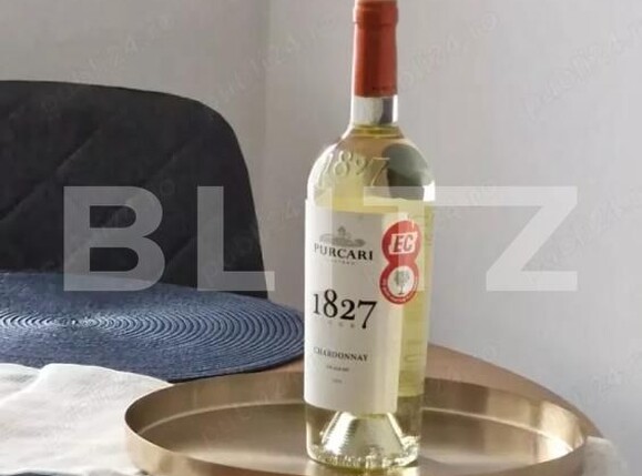 Apartament de închiriat 2 camere Podu Ros - 177530AI | BLITZ Iași | Poza7