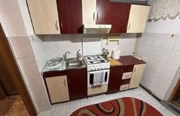Apartament de inchiriat, cu 2 camere, 50 mp, zona Nicolina 