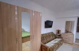 Apartament 1 camera C.U.G