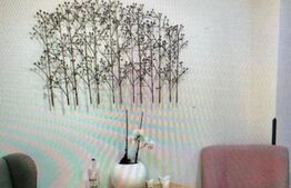 Închiriere apartament 2 camere | zona Copou | 