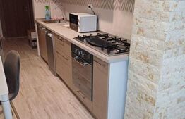 Apartament 2 camere open space - ultra-central - Podu Ros