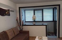Apartament 2 camere open space - ultra-central - Podu Ros