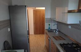 Apartament 2 camere open space - ultra-central - Podu Ros