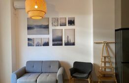 Studio 1 camera supraetajat -Copou 